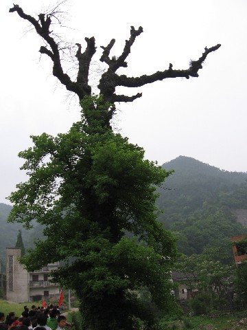 沧桑