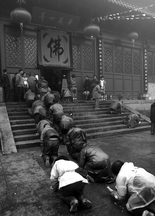 [原创]有一种虔诚叫不解,有一种精神叫执着.