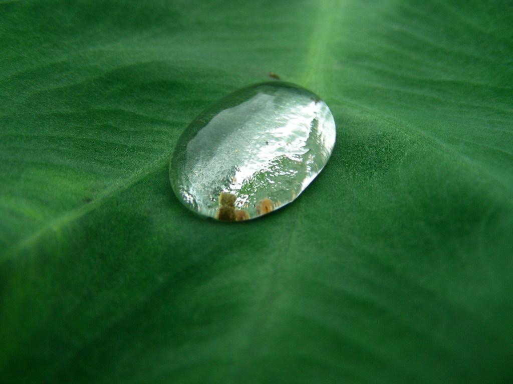 山上摘角公