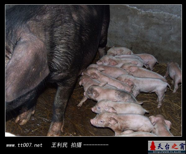 因为太热全部裸体！没有裸体的是谁？