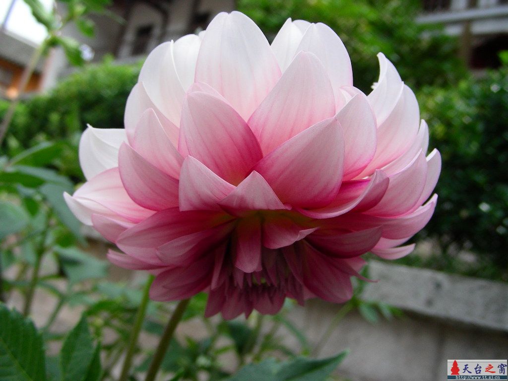 早上山上拍摄