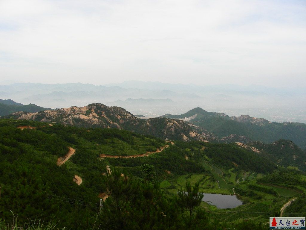 来几张