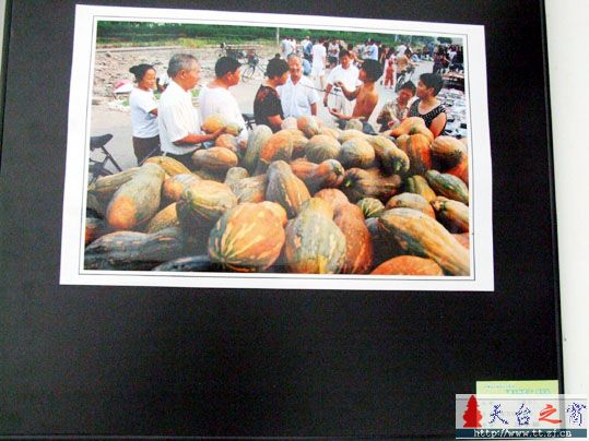 台州首届农民文化节"新农村建设"摄影展