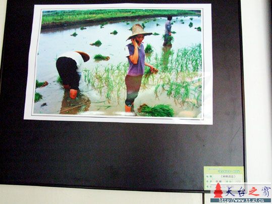 台州首届农民文化节"新农村建设"摄影展