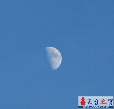 两只白鹭和三分之一个月亮