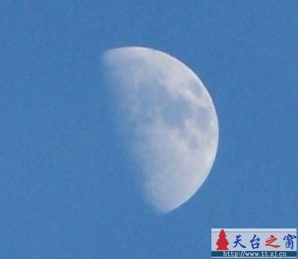 两只白鹭和三分之一个月亮