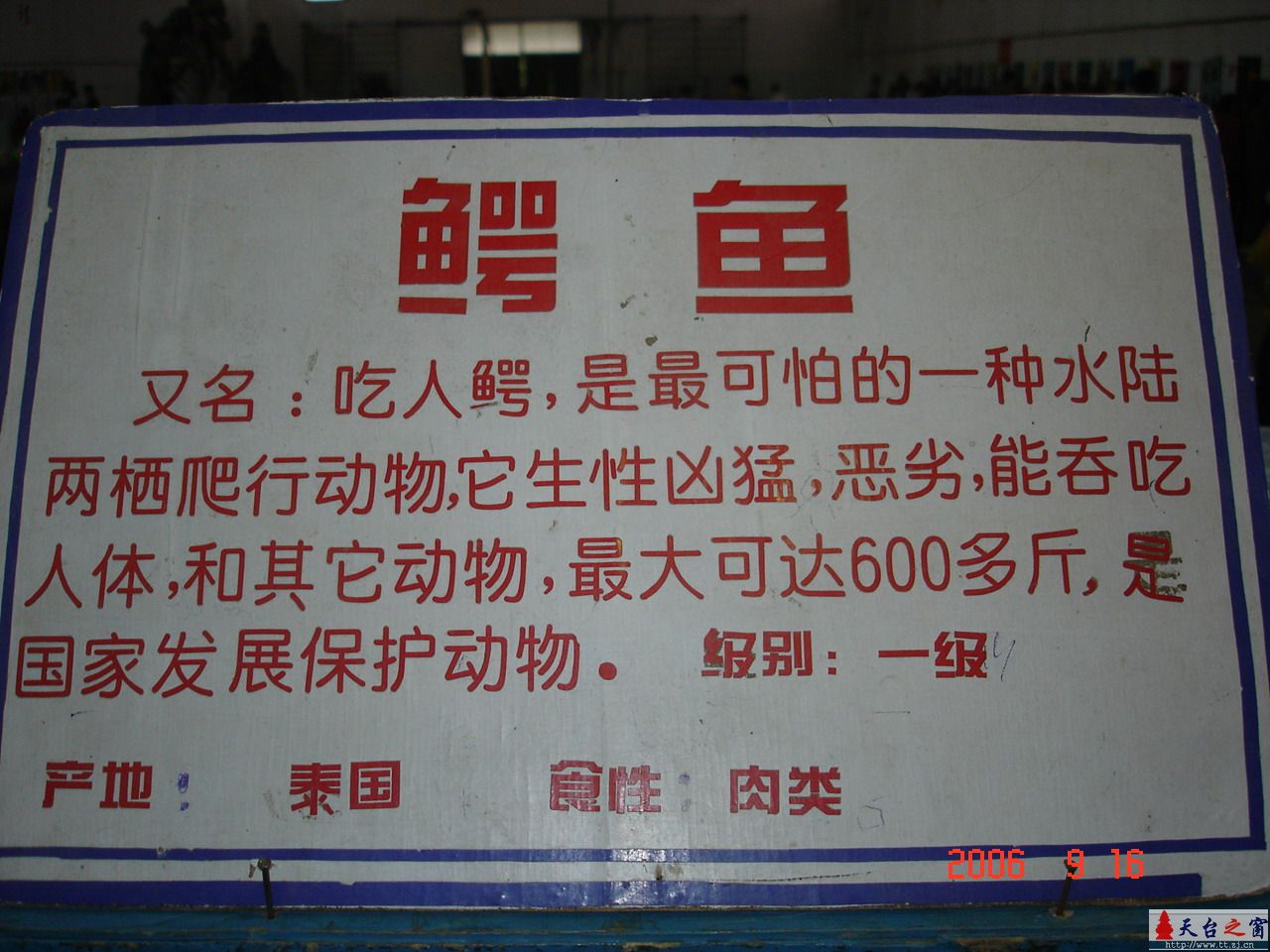 濒临灭绝动物展
