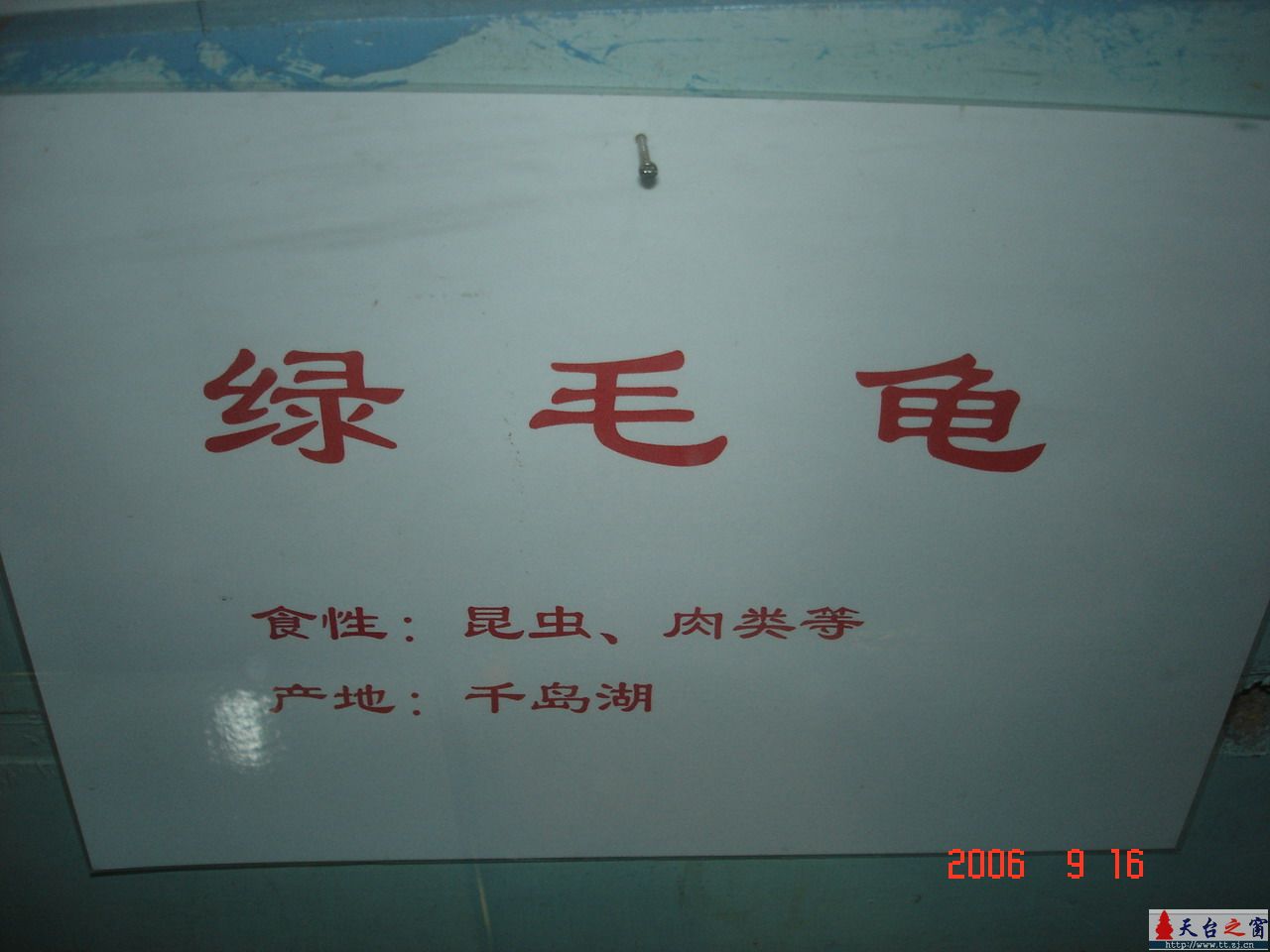濒临灭绝动物展