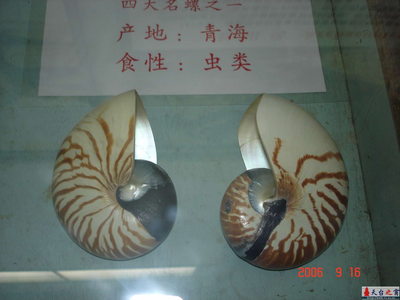 濒临灭绝动物展五