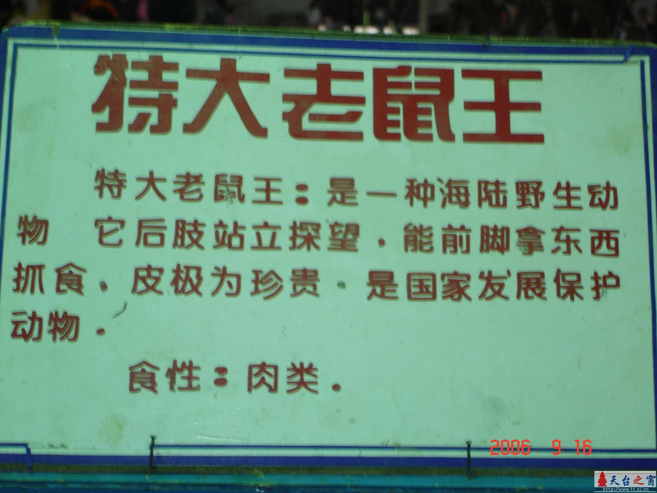 濒临灭绝动物展六