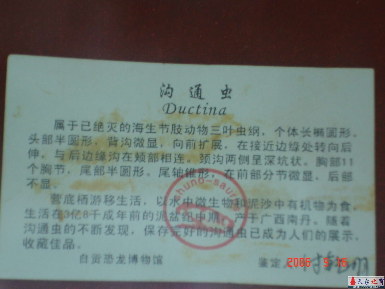 濒临灭绝动物展六
