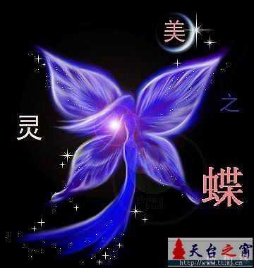 小蝶生日快乐