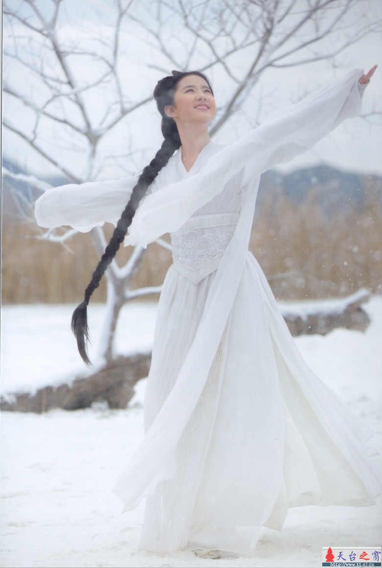 雪花图