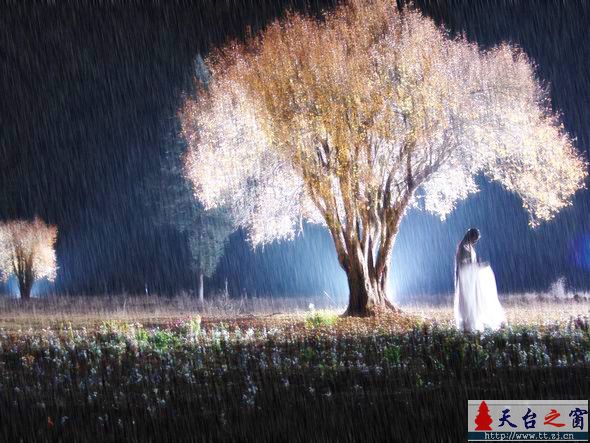 雨夜图