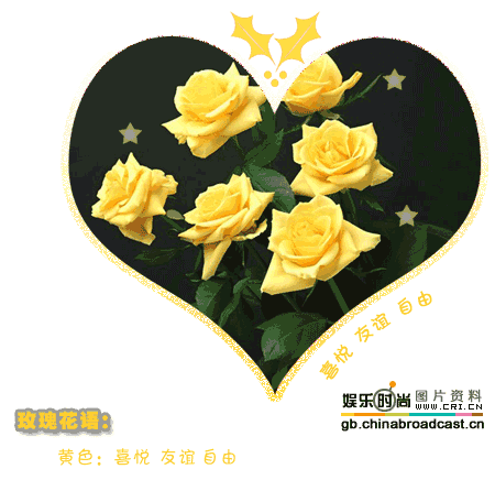 [公告]谨以此帖送给笨笨