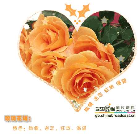 [公告]谨以此帖送给笨笨