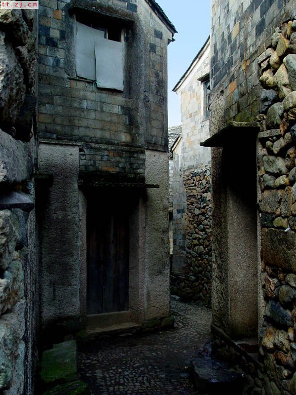 也拍榧树村