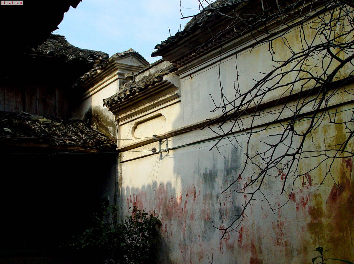 也拍榧树村
