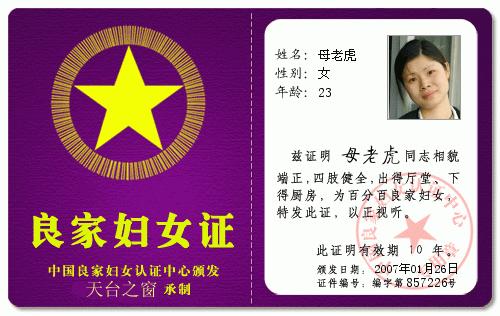 2007年新版帅哥美女　HOHO ～