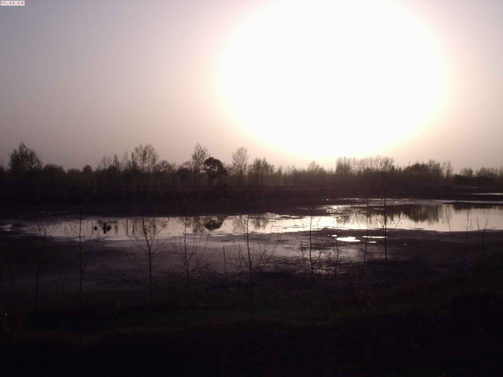 夕阳