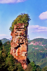 九遮青山埋忠魂