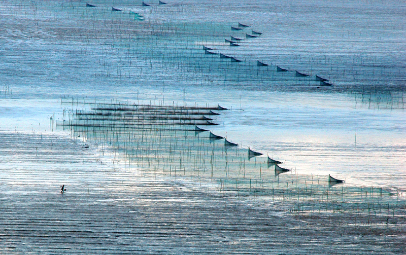[公告]到霞浦看海去