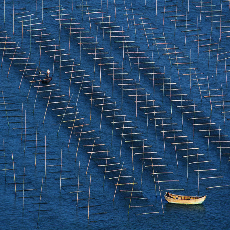 [公告]到霞浦看海去