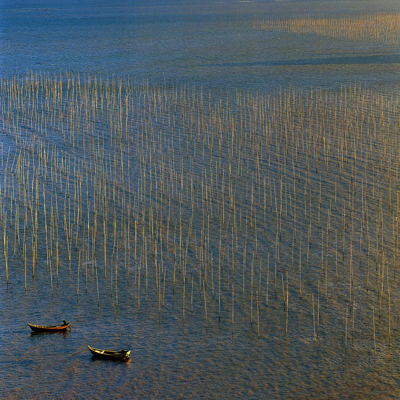 [公告]到霞浦看海去