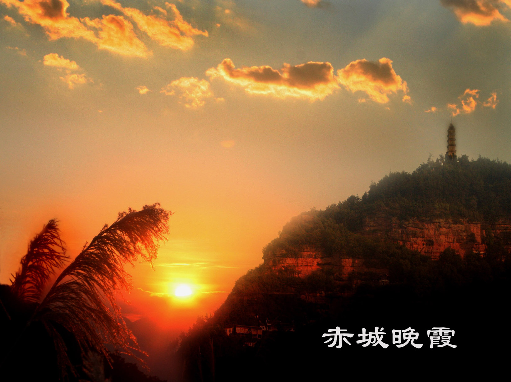 试拍