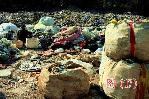 生态文明和物质文明的碰撞