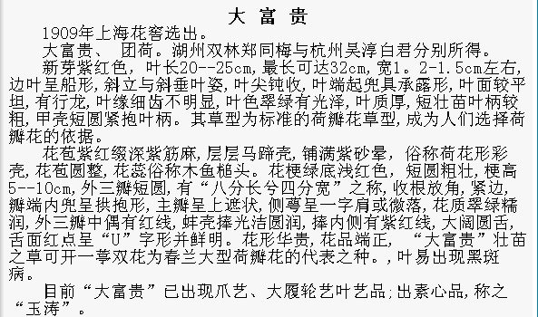 我家的兰花