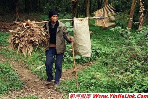 转帖]一个老人家，就这样饿死了