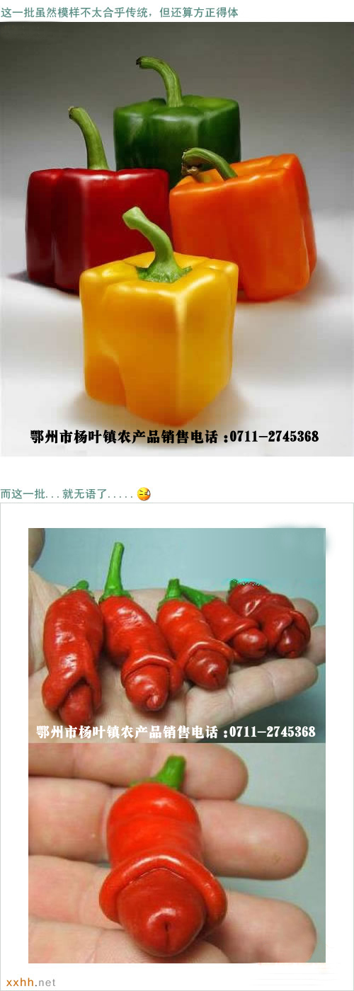 如此淫荡的辣椒，你肯定没见过，据说还出口