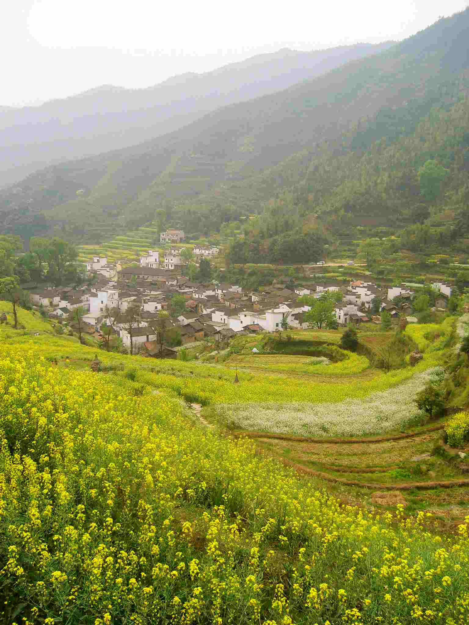 无梦到徽州
