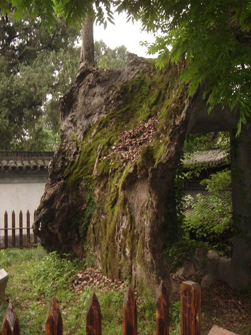 临海风光