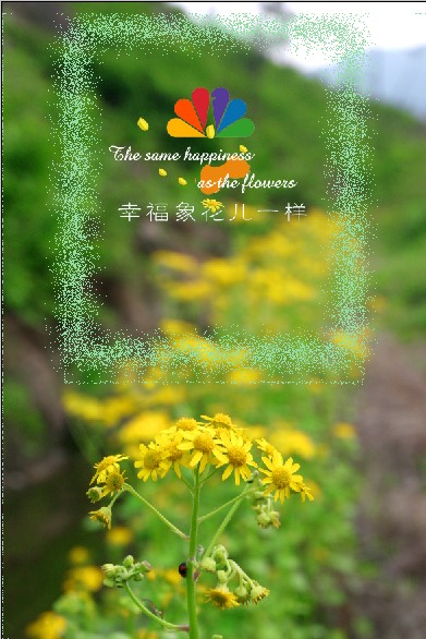 幸福象花儿一样