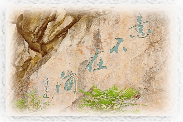 【意不在酒】原创摄影