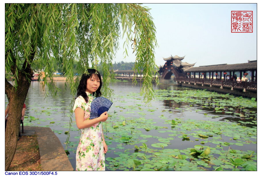 寂云师太