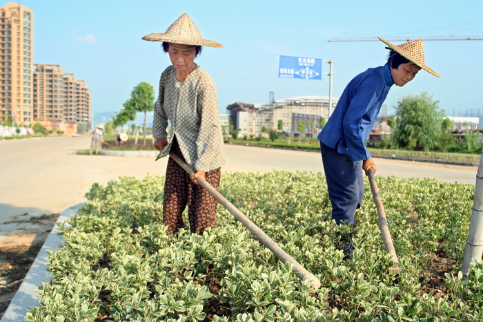 把高温踩在脚下的人们