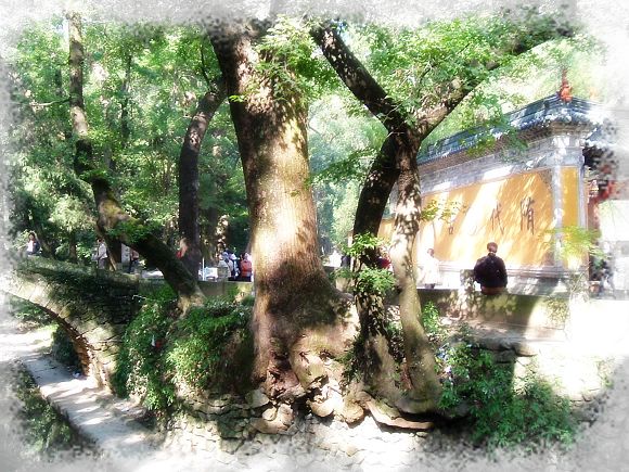 [原创]美丽家乡（二）