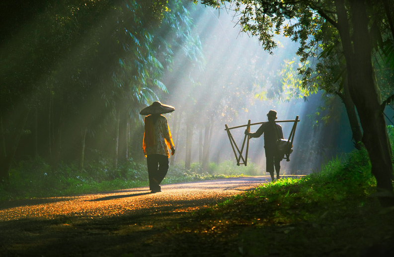 [转帖][风景]平凡的也可以是唯美的！