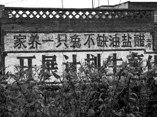 爆强中国式标语