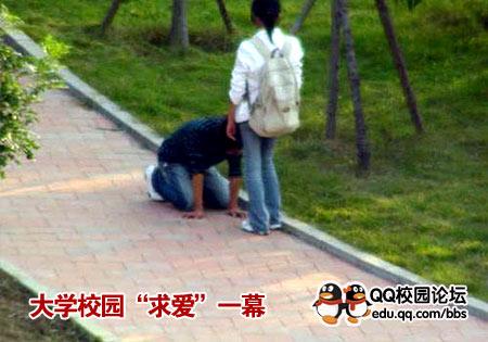 此情此景红尘中！