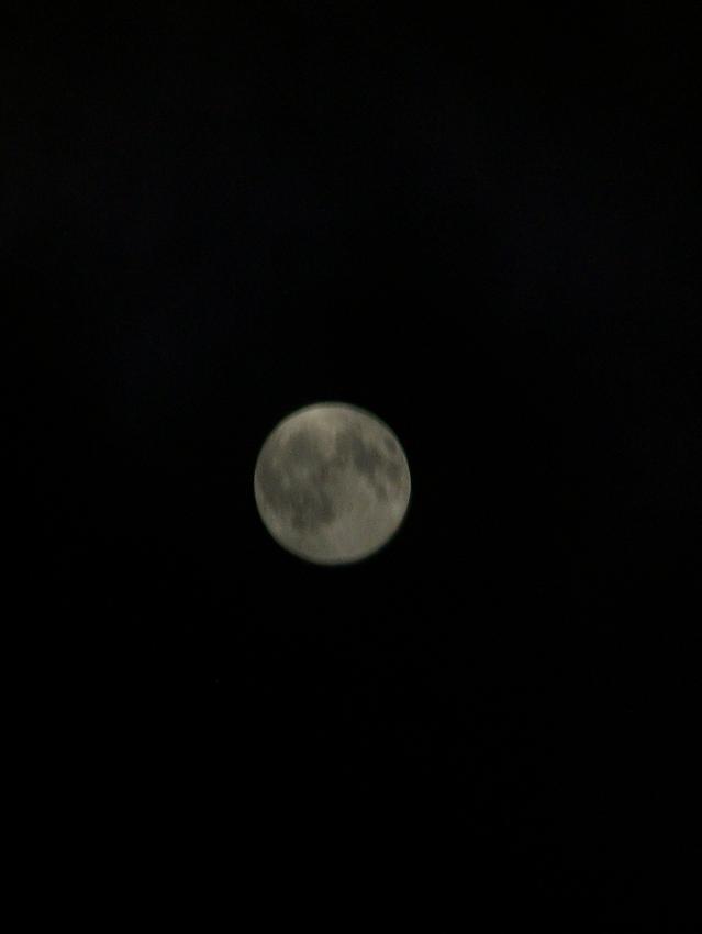 琼台夜月
