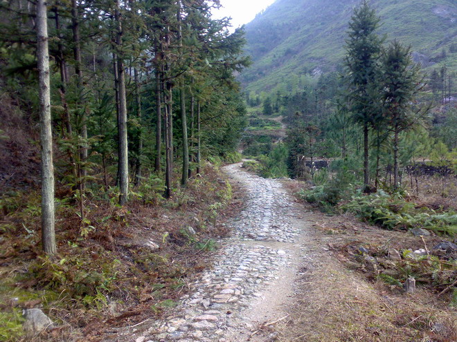 小路