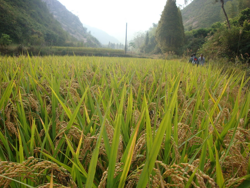 10月19日穿越紫凝山