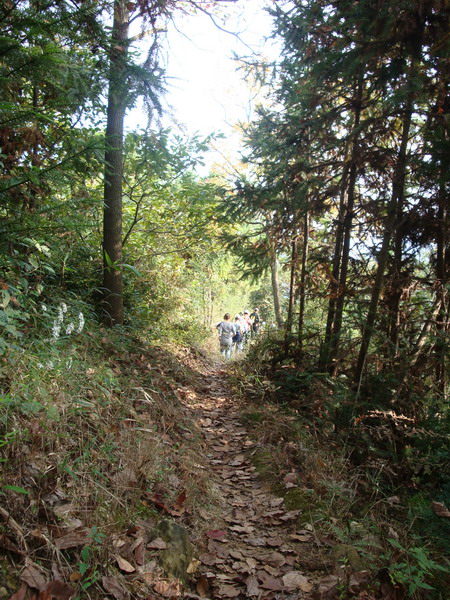 10月19日穿越紫凝山