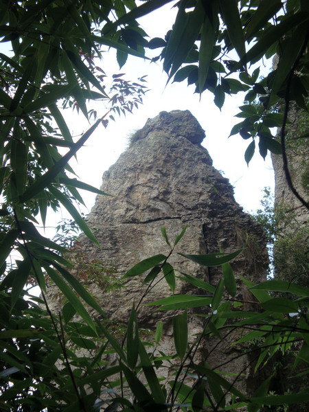 10月19日穿越紫凝山