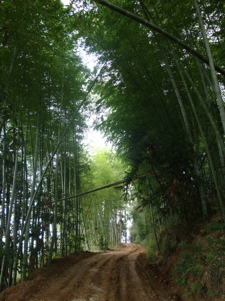 10月19日穿越紫凝山