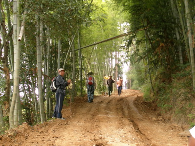 10月19日穿越紫凝山